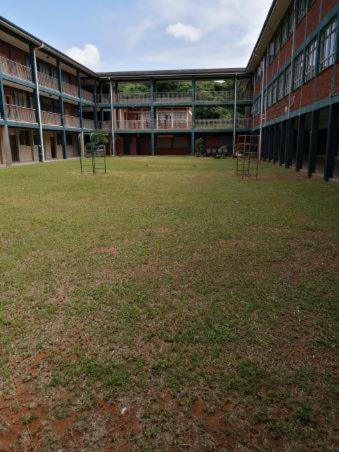 ديركي أويس باكباكرز