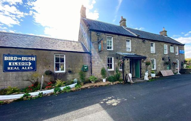 بيرد في بوش إلسدون