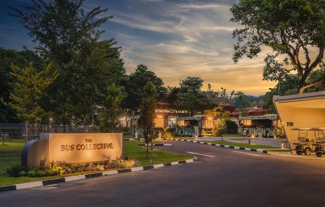 ذا بس كوليكتيف