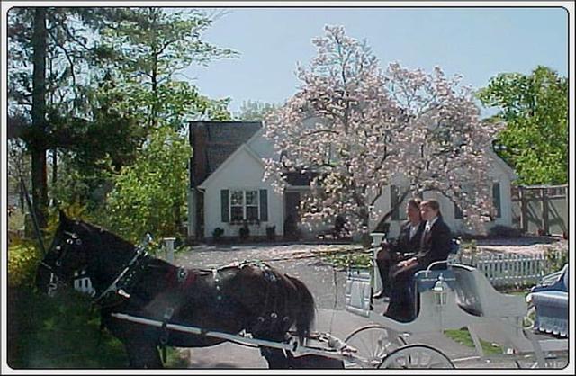 سانت أندروز هاوس للإفطار والإقامة