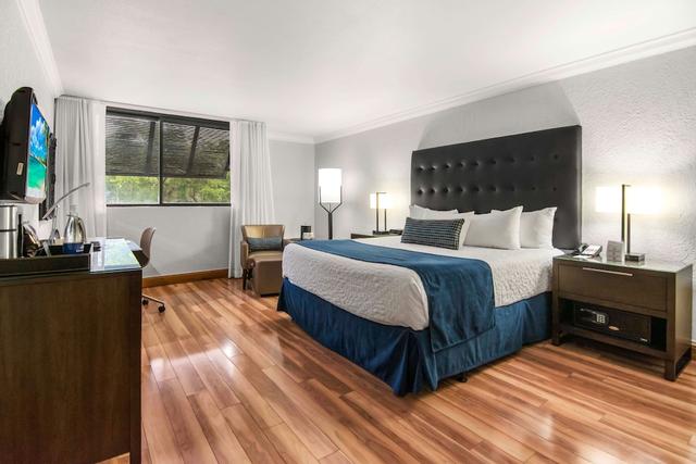 ميامي ليكس هوتل