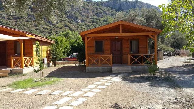 دريم جاردن إفليري