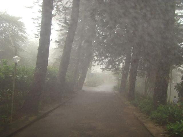 هوتل شيفارويز