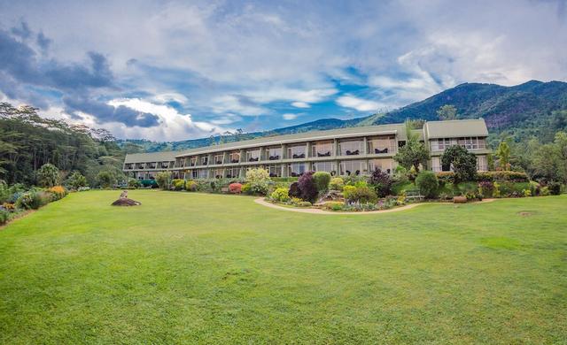 هوناس فولز هوتل