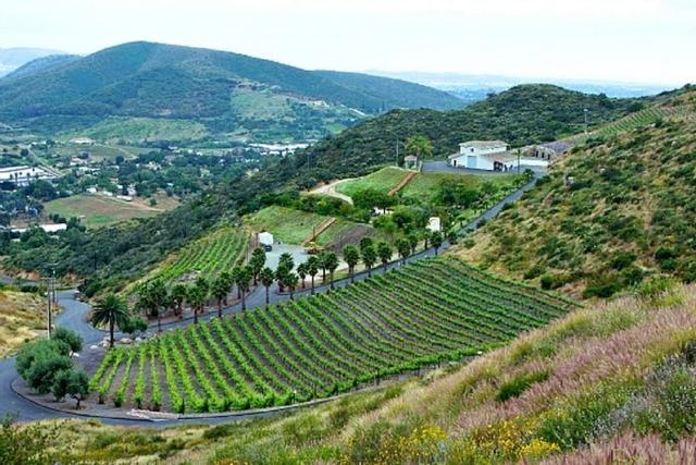 صن شاين ماونتن بد آند بريكفاست