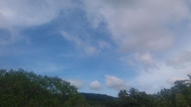 هوتل أسيليا ريجينسي