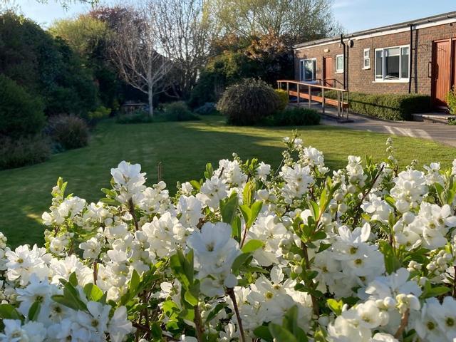 ذا كوستيارد